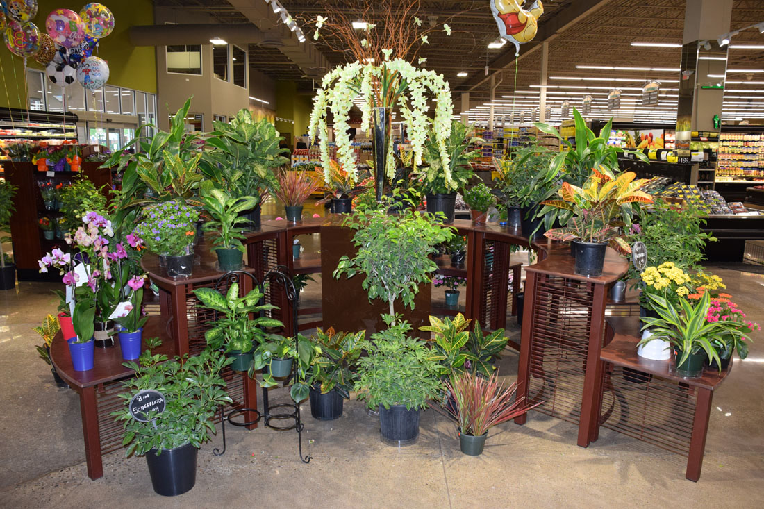 Rich's Fresh Market Store